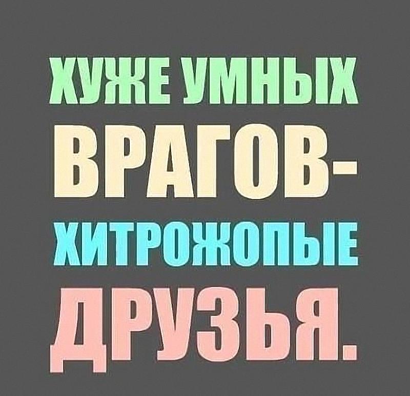 7009329_2baf6e114820f01a356daf5fc84af907_800