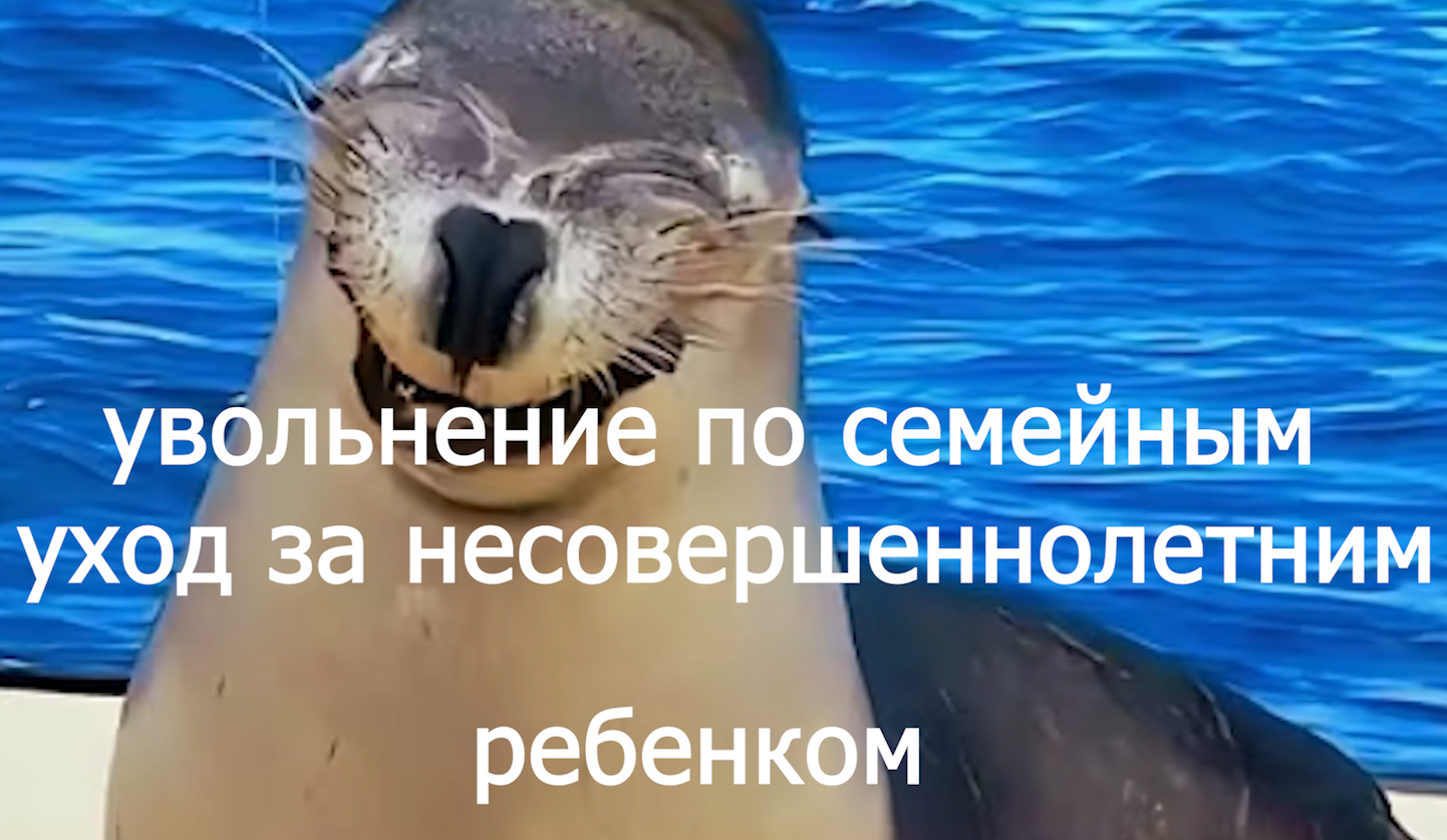 Увольнение по семейным  суд выигран и почему voenset.ru 2